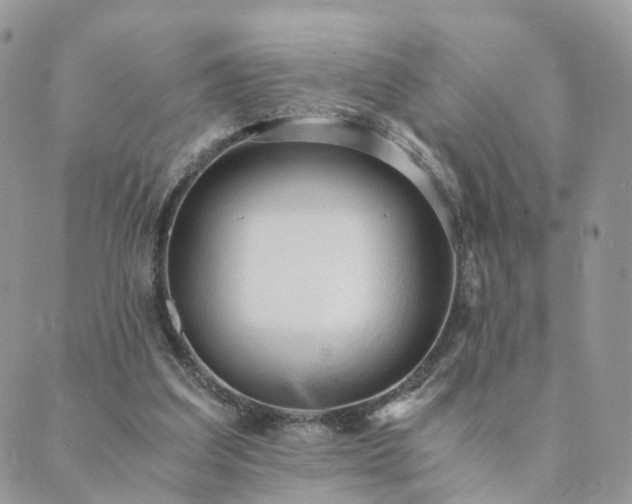 X0000089930203200706291206