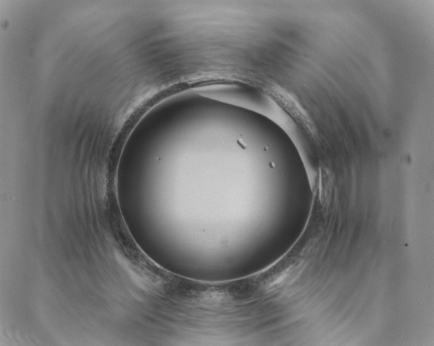 X0000089930204200706291206