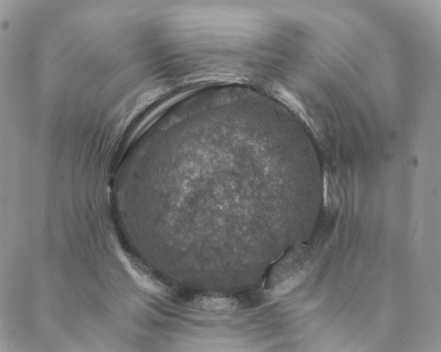 X0000089930205200706291206