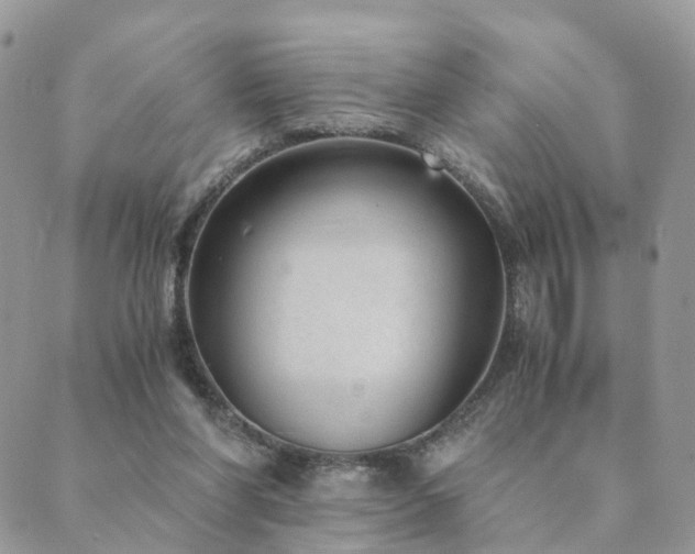 X0000089930206200706291206