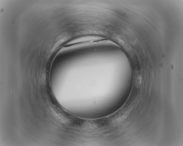 X0000089930207200706291206