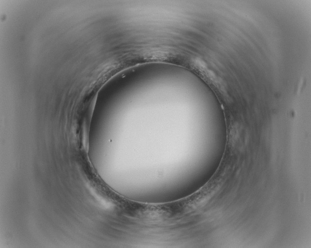 X0000089930209200706291206