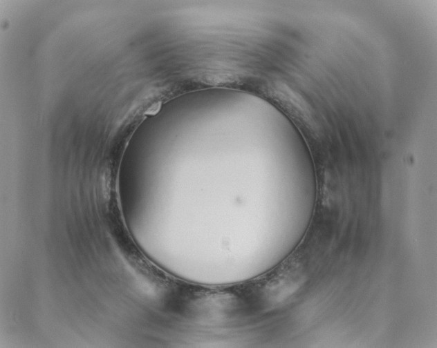 X0000089930210200706291206