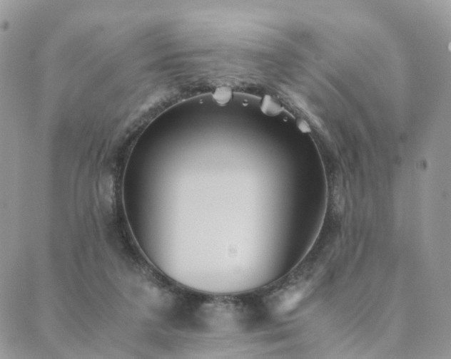 X0000089930211200706291206