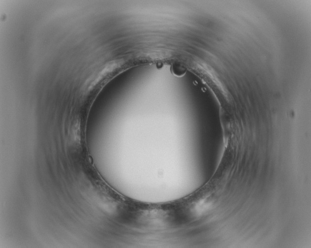 X0000089930212200706291206