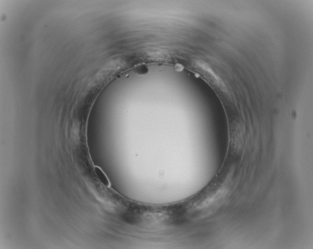 X0000089930213200706291206