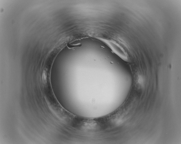 X0000089930214200706291206