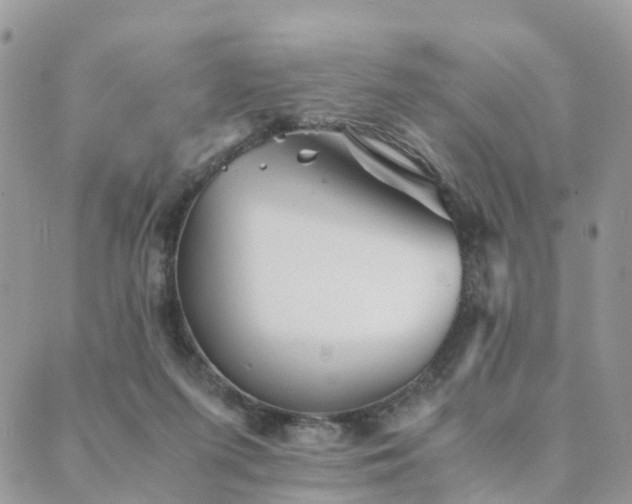 X0000089930215200706291206