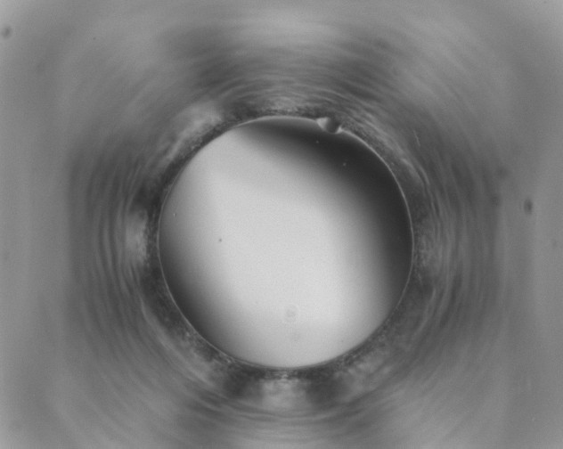 X0000089930216200706291206