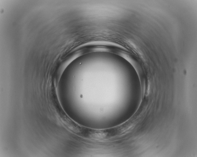 X0000089930217200706291206