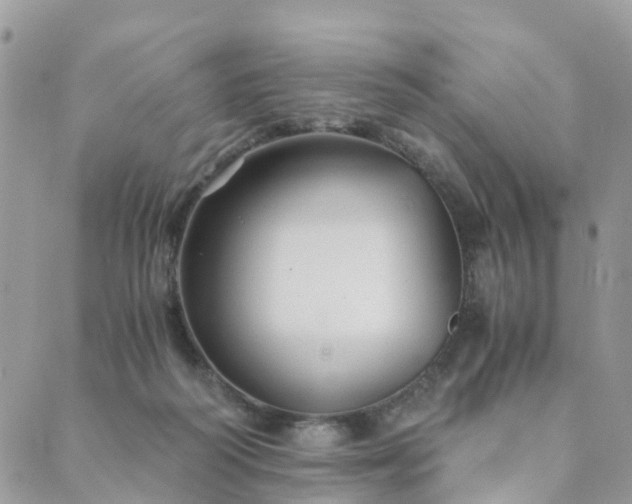 X0000089930218200706291206