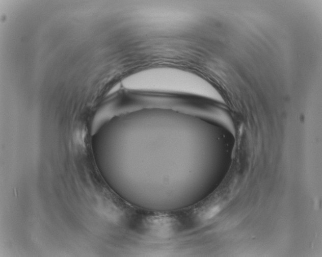 X0000089930219200706291206