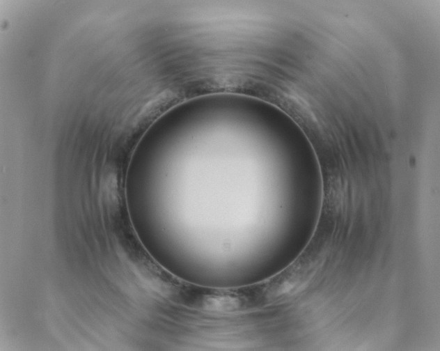 X0000089930220200706291206