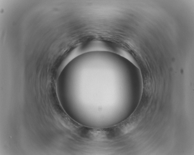 X0000089930221200706291206