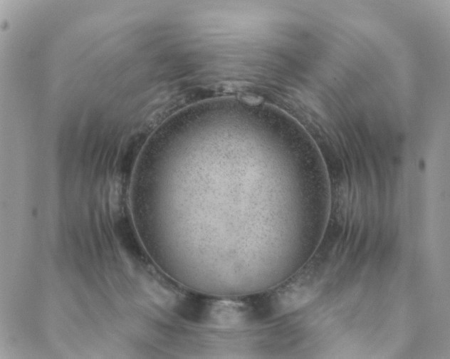 X0000089930222200706291206