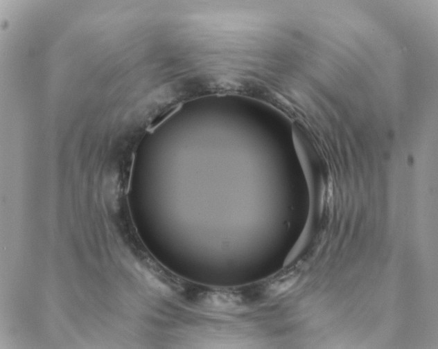 X0000089930223200706291206