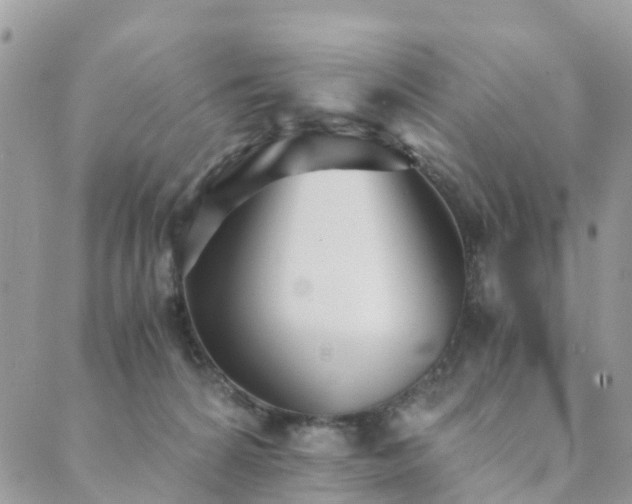 X0000089930224200706291205