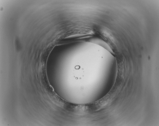 X0000089930225200706291205