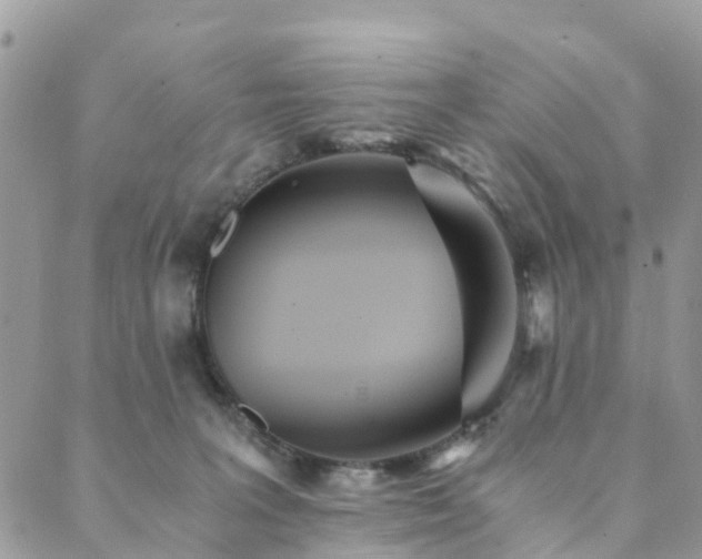 X0000089930227200706291205