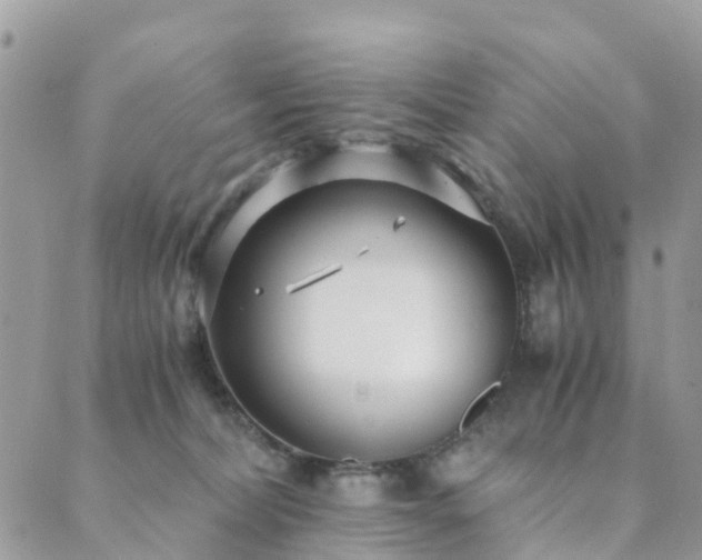 X0000089930228200706291205