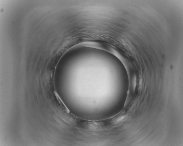 X0000089930229200706291205