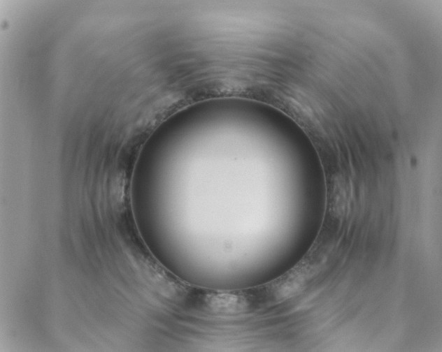 X0000089930230200706291205