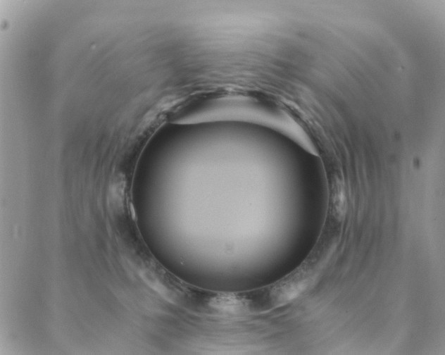 X0000089930231200706291205