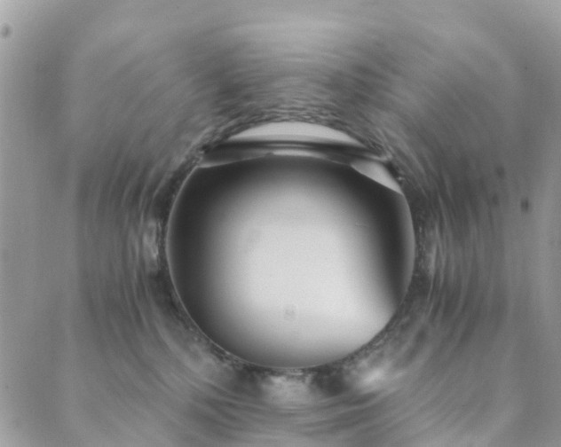 X0000089930232200706291205