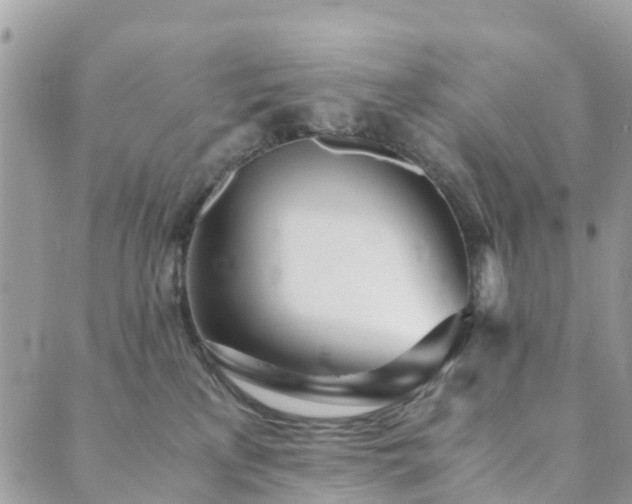 X0000089930233200706291205