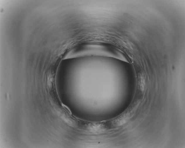 X0000089930235200706291205