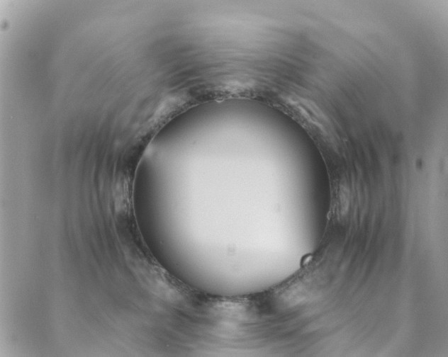 X0000089930236200706291205