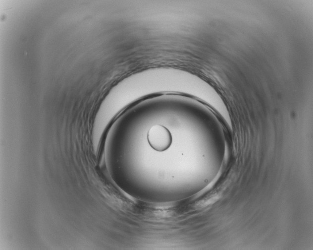 X0000089930237200706291205