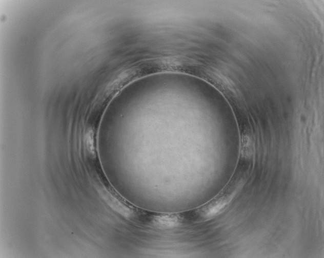 X0000089930238200706291205