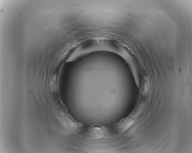 X0000089930239200706291205