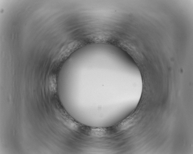 X0000089930240200706291205