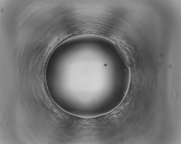 X0000089930241200706291204