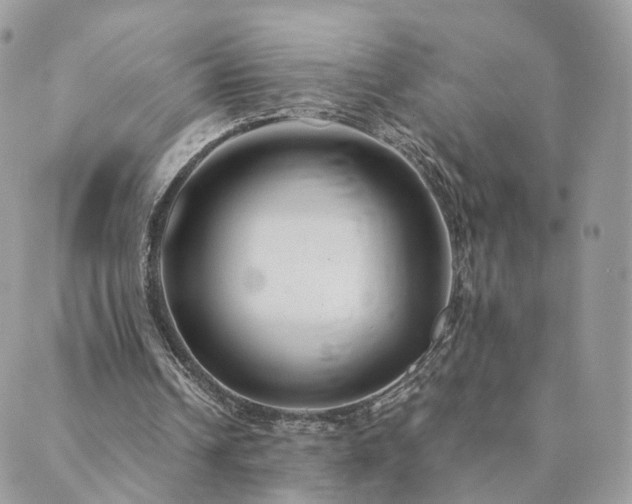 X0000089930242200706291204