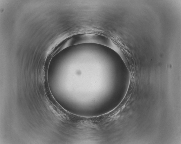 X0000089930244200706291205