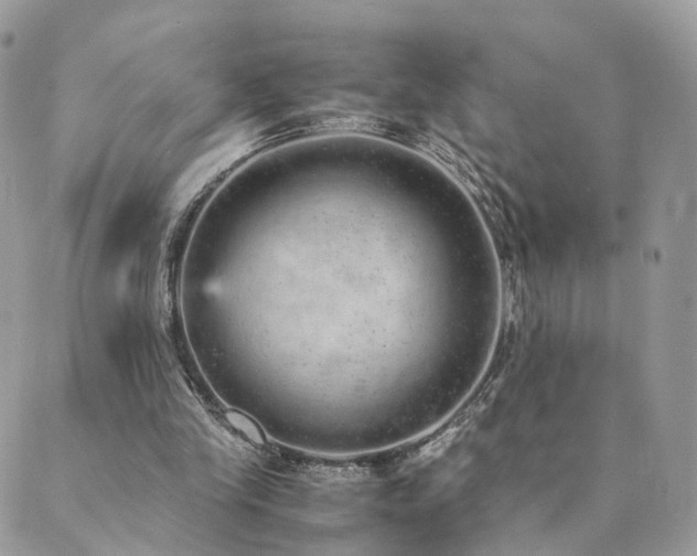 X0000089930245200706291205