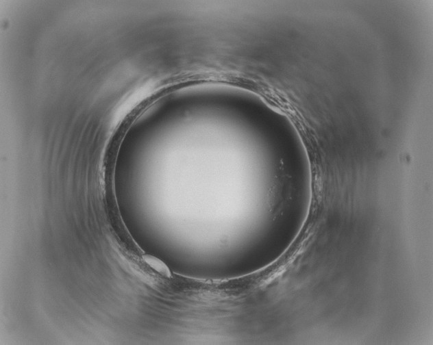 X0000089930246200706291205