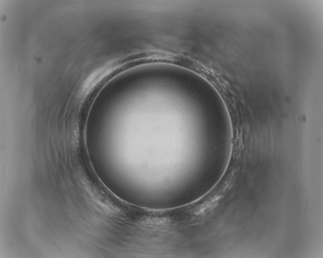 X0000089930247200706291205