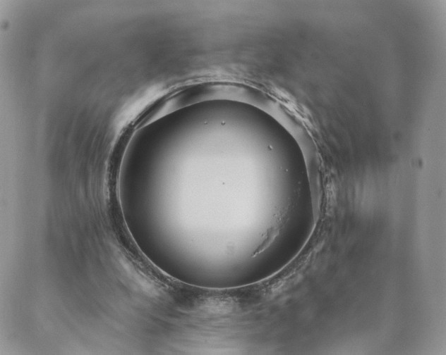 X0000089930248200706291205