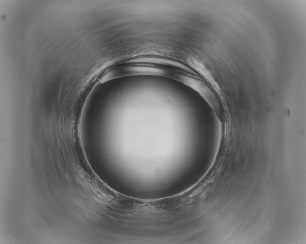 X0000089930249200706291205