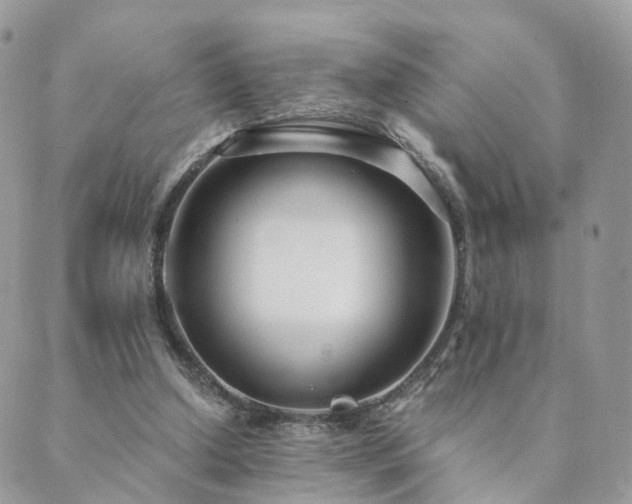 X0000089930250200706291205