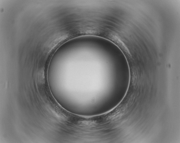 X0000089930251200706291205