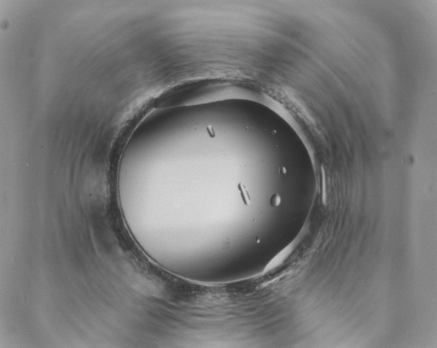 X0000089930252200706291205