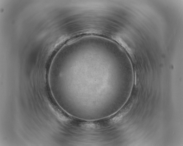 X0000089930253200706291205