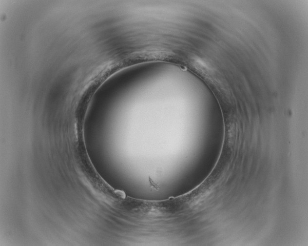 X0000089930254200706291205