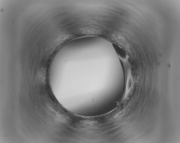 X0000089930255200706291205