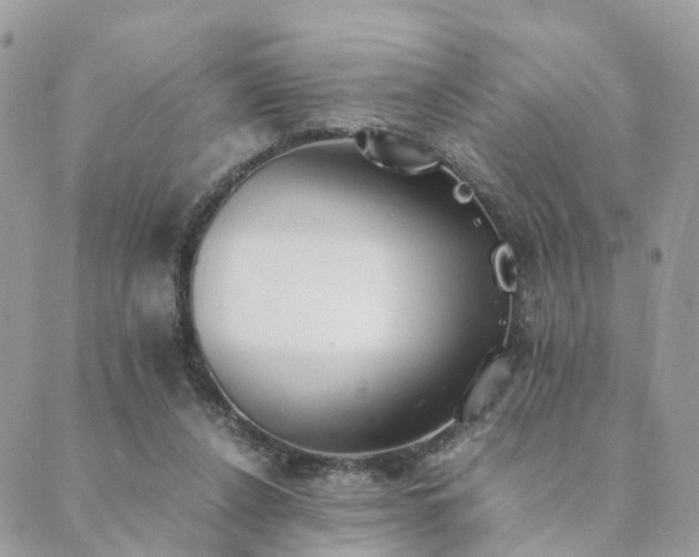 X0000089930256200706291205